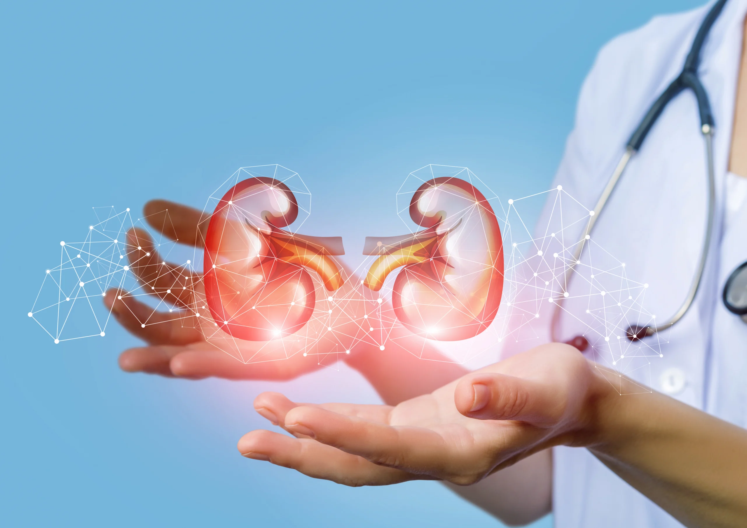 7 Golden Rules To Prevent Kidney Problems 